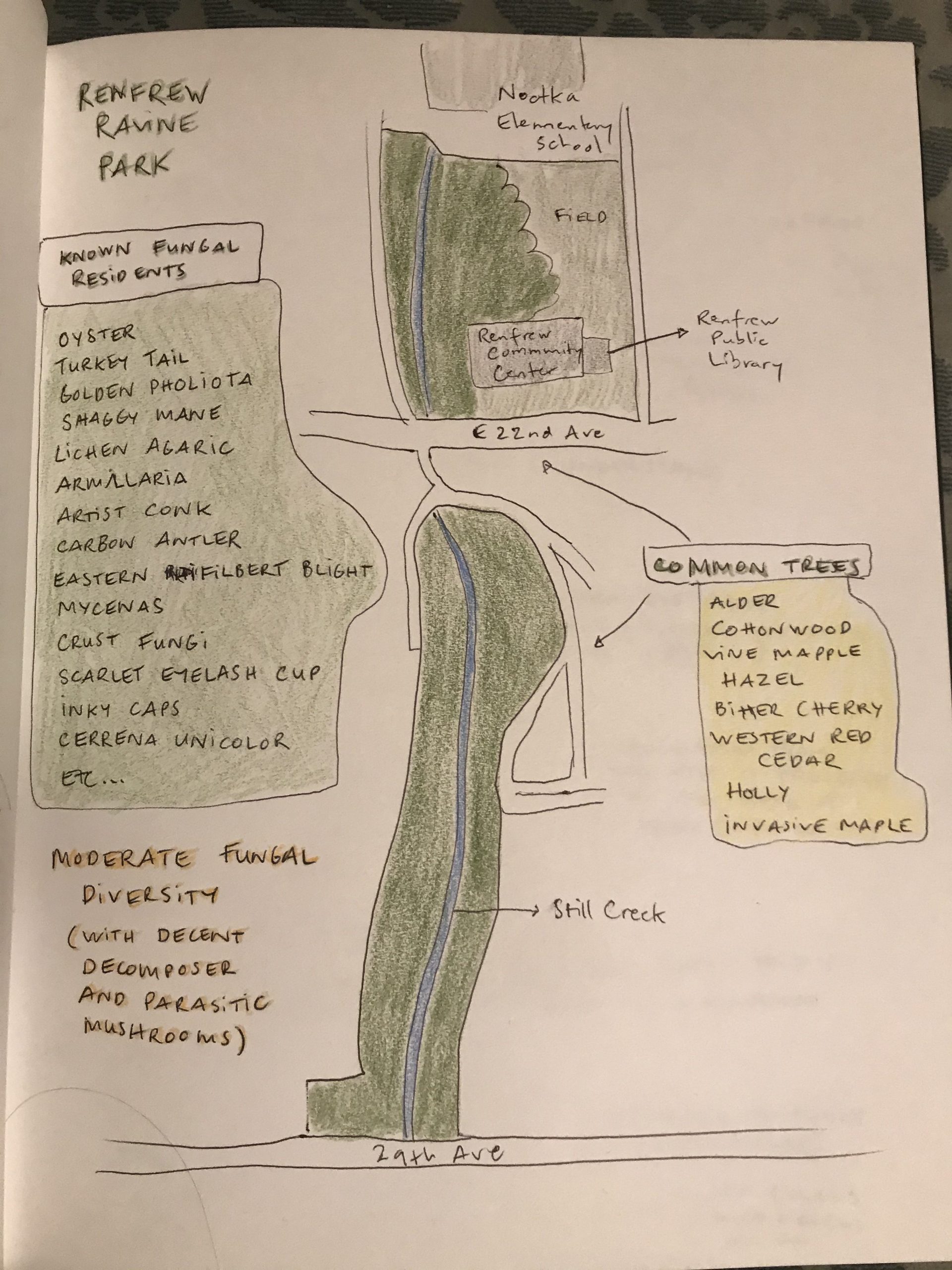 A hand drawn map of Renfrew Ravine Park with a list of known fungal residents.